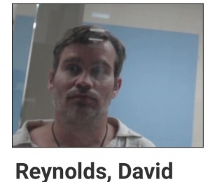 David Reynolds