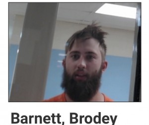 81550553-8120-418B-889B-8AD76FBBC787