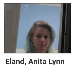 Anita Lynn Eland