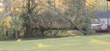 B29CC098-D62B-4F24-996A-A6196C53EEA3