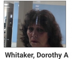 Dorothy Whitaker