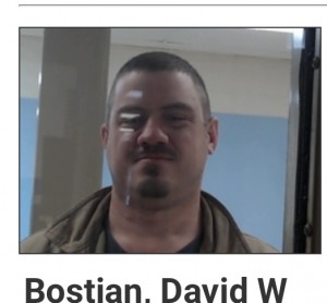 David Bostian