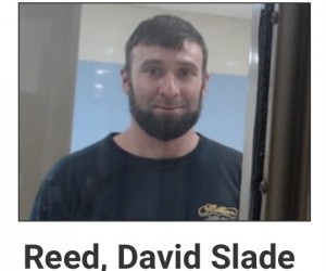 David Slade Reed