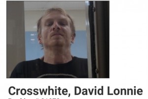 David Crosswhite