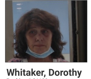 Dorothy Whitaker