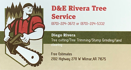 DE Rivera tree trimming cut
