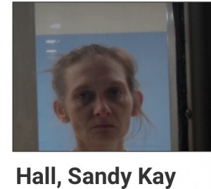 Sandy Kay Hall