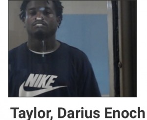 Darius Taylor