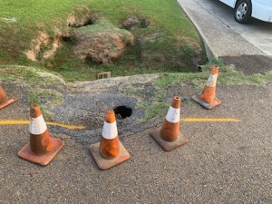 C95D0E55-6353-4C19-B229-2A9333E4C501