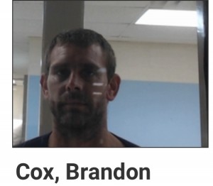 Brandon Cox
