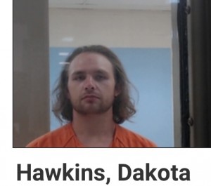Dakota Hawkins