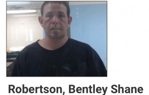 Bentley Shane Robertson
