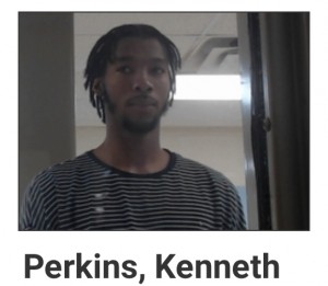 Kenneth Perkins 