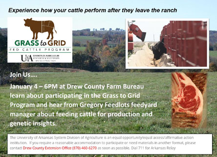 Grass to Grid Flyer-page-001