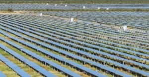 Primoris Renewable Energy Solar panel field
