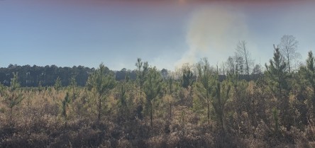 D03E7E0A-F638-4736-9B83-1B4FE534BF42