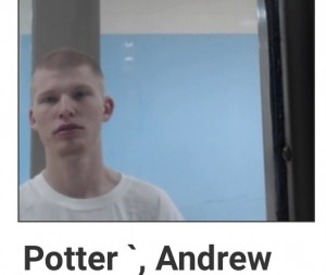 Potter Andrew