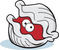 Cartoon illustration of a clam.