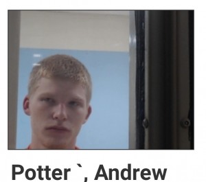 Potter Andrew