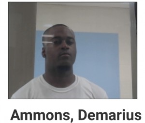 Ammons, Demarius