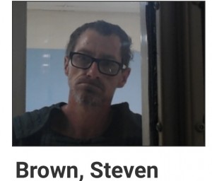 Brown, Steven