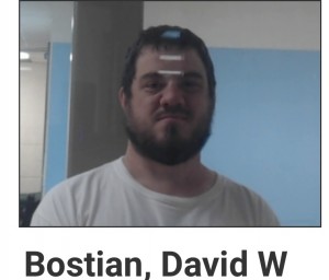 Bostian, David W