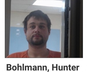 Bohlmann, Hunter