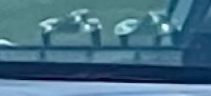 A97CB95A-5C8B-45C0-B532-B1C0752C8C63