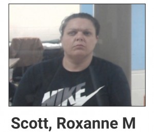 Scott, Roxanne M