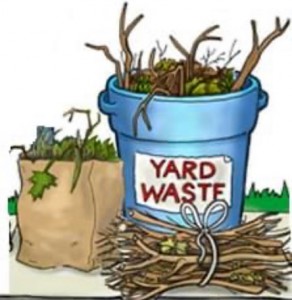 Yard waste limbs leaves trees