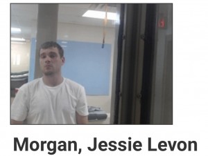 Morgan, Jessie Levon