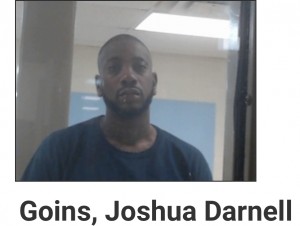 Goins, Joshua Darnell