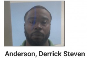 Anderson, Derrick Steven