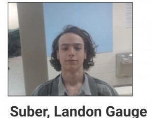 Suber, Landon Gauge