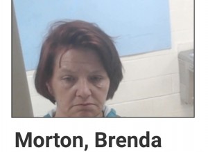 Morton, Brenda