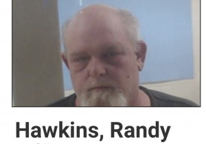 Hawkins, Randy