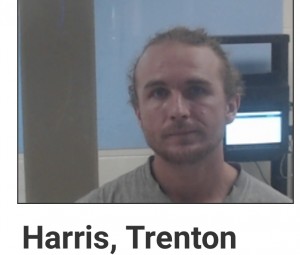 Harris, Trenton