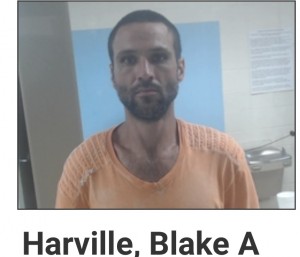 Harville. Blake A