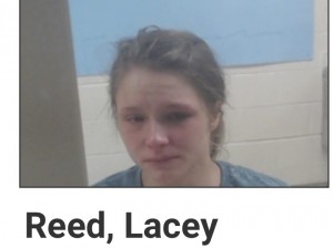 Reed, Lacey