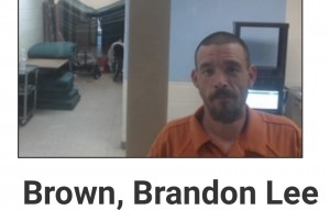 Brown. Brandon Lee