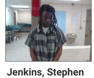Jenkins, Stephen