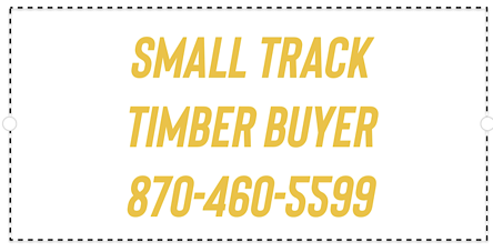 Small Track Timber Buyer 870-460-5599