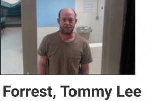 Forrest, Tommy Lee