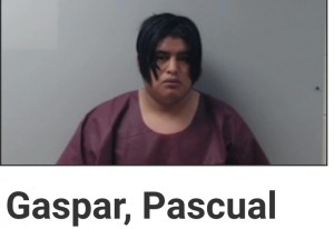 Gaspar, Pascual