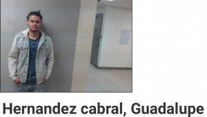 Hernandez cabral, Guadalupe
