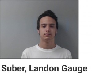 Suber, Landon Gauge