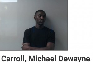 Carroll, Michael Dewayne