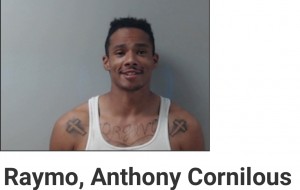 Raymo, Anthony Cornilous