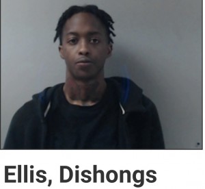 Ellis, Dishongs