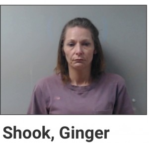 Shook, Ginger